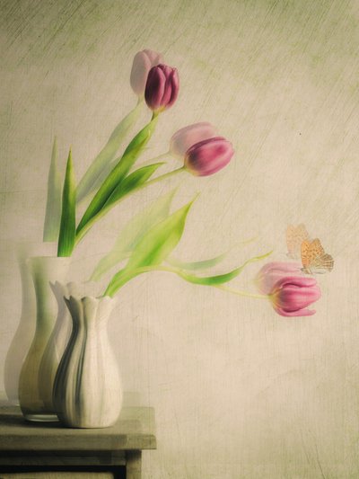 Tulipas de sonho e borboleta de Cristiano Giani