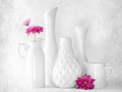 Flores cor-de-rosa em vasos brancos de Cristiano Giani