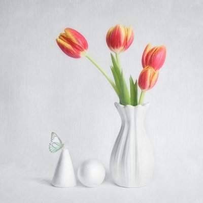 Tulipas da Primavera e Borboleta de Cristiano Giani