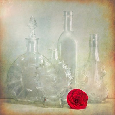 Garrafas vintage com flores vermelhas de Cristiano Giani