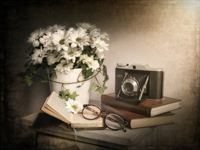 Natureza morta vintage de Cristiano Giani