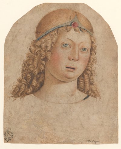 Cabeça de um Jovem com Diadema, final do século XV e início do século XVI. de Cristoforo Caselli