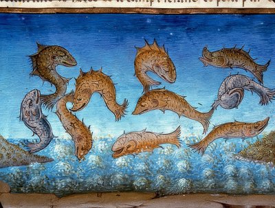 O fim do mundo: o peixe nadará acima (c.147r). 1476 de Cristoforo De Predis