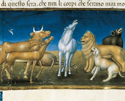 "Estrelas cairão do céu diante dos olhos dos animais" (miniatura) Miniatura de Cristoforo De Predis (1440-1486) de Cristoforo De Predis