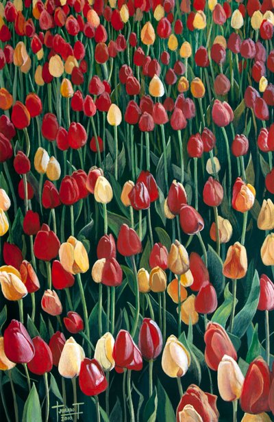 Tulipas, 2010 (acrílico sobre papel) de Cruz Jurado Traverso