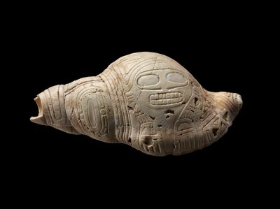 Concha Esculpida de Culture Taino