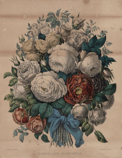 Rosas, e botões de rosa de Currier and Ives