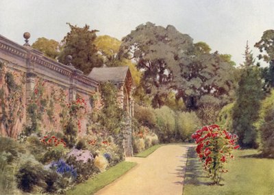 Crimson Ramblers em Osborne (cor litho) de Cyril Ward