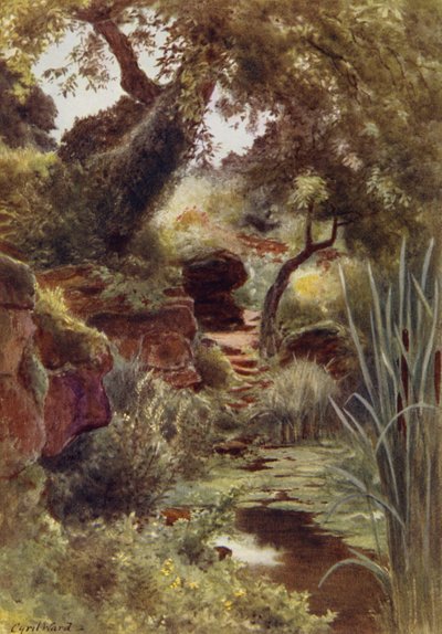 Parte do Rock Garden junto ao Alto Lago, Sandringham (cor litho) de Cyril Ward