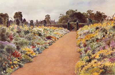 The Double Borders no East Garden, Sandringham (lito colorido) de Cyril Ward
