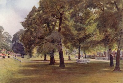 Árvores no gramado em Marlborough House (lito colorido) de Cyril Ward
