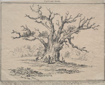 Carvalho Fairlop de D. H. Redman