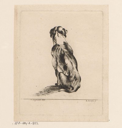 Cão sentado visto de costas de D. Merrem