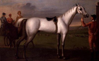 Noivo segurando um cavalo de corrida cinza de D. Quigley