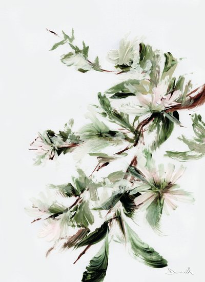 Floração de Dan Hobday