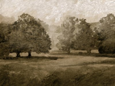 Terrenos do Castelo de Dan Hobday