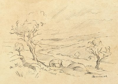 Pônei de Dartmoor de Dan Hobday