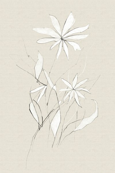 Flor da Quinta de Dan Hobday