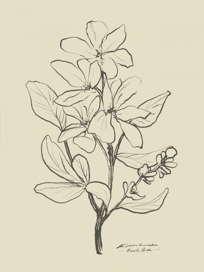 Floral 1 de Dan Hobday