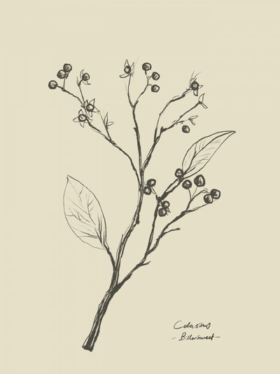 Floral 2 de Dan Hobday