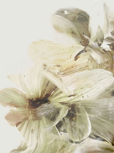 Flores da Colina 1 de Dan Hobday