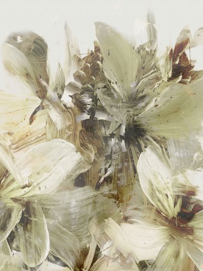 Flores da Colina 3 de Dan Hobday