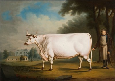 "O Boi Nannau", 1824 de Daniel Clowes