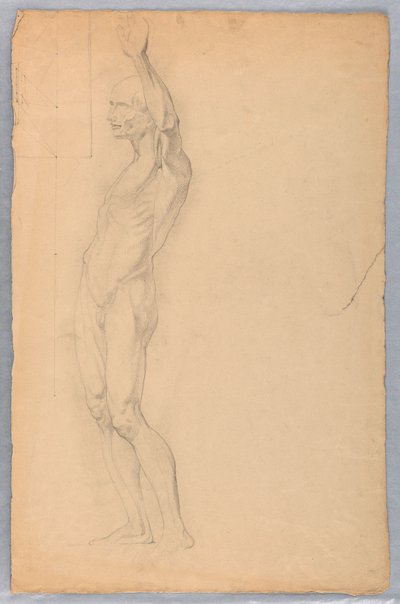 Desenho, Estudo anatómico de um homem, ca. 1850 de Daniel Huntington