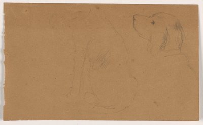 Desenho, Dash (um Setter), cabeça e corpo, ca. 1862 de Daniel Huntington