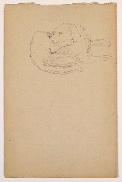 Desenho, Dash (um Setter), ca. 1862 de Daniel Huntington