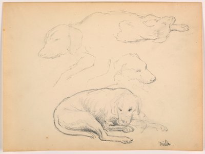 Desenho, Milo (um ponteiro), vários estudos, ca. 1862 de Daniel Huntington