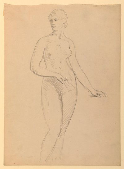 Desenho, Sra. Henry Schieffelin, S, 1881 de Daniel Huntington