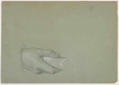 Desenho, Estudo para "Tribute Money", 1852 de Daniel Huntington