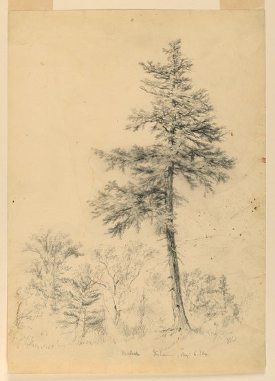 Estudo de Hemlock, Gorham, New Hampshire de Daniel Huntington