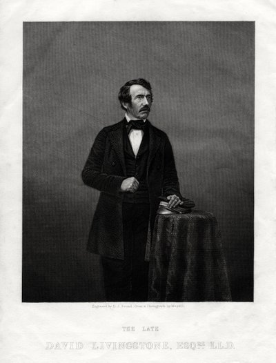David Livingstone, missionário escocês e explorador africano, 1880 de Daniel John Pound
