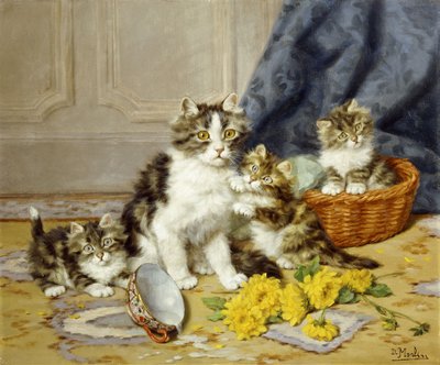 Gatinhos brincalhões de Daniel Merlin