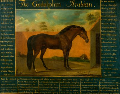 O Godolphin Arabian de Daniel Quigley