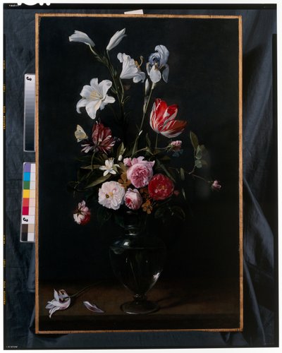 Ramos de rosas, tulipas, narcisos e outras flores suspensas em fitas azuis (óleo sobre cobre) de Daniel Seghers
