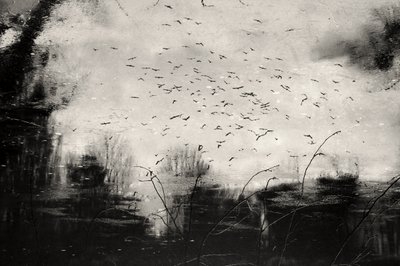  de Daniela Riegler