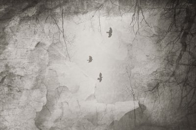  de Daniela Riegler