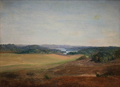 Paisagem perto de Silkeborg, Jutlândia de Dankvart Dreyer