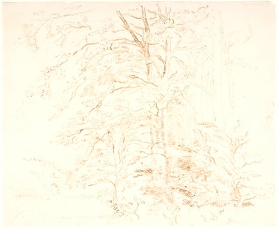Estudos de madeira de Dankvart Dreyer