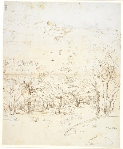 Ver através de uma floresta para um som de Dankvart Dreyer