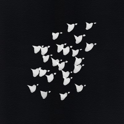Voo abstrato das aves de Danushka Abeygoda