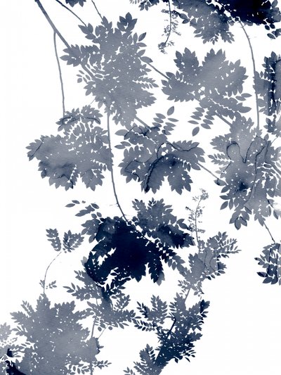 Ecologia Profunda 1 Bluegrey de Danushka Abeygoda