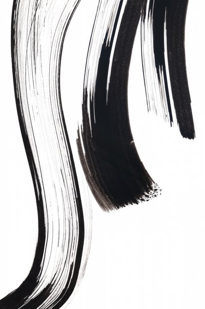 Traços fluidos de tinta de Danushka Abeygoda