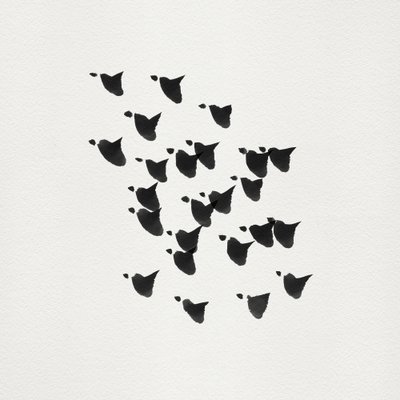 Voo de pássaros minimalistas de Danushka Abeygoda
