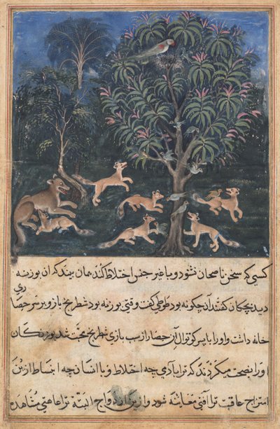 Página de Contos de um Papagaio Tuti-nama: Quinta noite: A mãe papagaio adverte..., c. 1560. de Daswanth