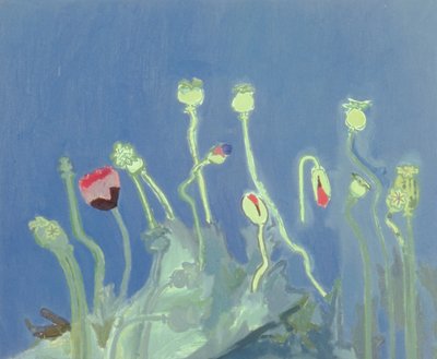 Poppyheads (óleo sobre tela) de David Alan Redpath Michie