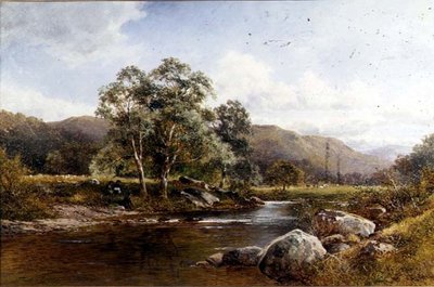 Aves na Lledr de David Bates